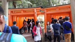 Fushimi Inari, Kuil Seribu Gerbang di Kyoto
