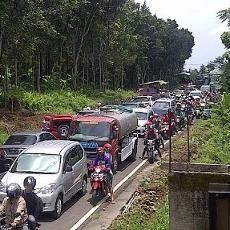 Ada Pesta Durian, Jalur ke Puncak Trawas Macet Total