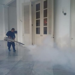 Ahok Terkena DBD, Gedung Balai Kota Difogging