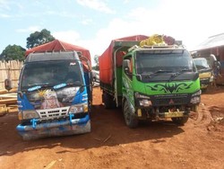 Polda Kalbar Sikat Pelaku Illegal Logging, 6 Truk Isi Muatan Kayu Ditahan