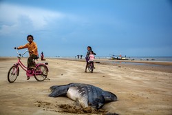 Mereka tetap ceria dan bermain