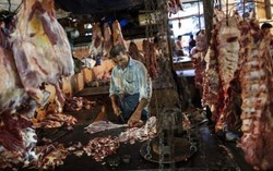 Wilayah India Ini Larang Kepemilikan dan Penjualan Daging Sapi