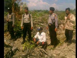 Buka Kebun dengan Cara Membakar Lahan, Warga Meranti Jadi Tersangka