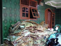 BPOM Sita Kikil Berformalin di Kalideres