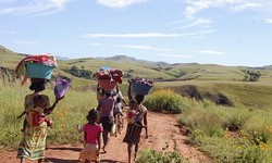 Dari Indonesia Bagian Mana 28 Perempuan Nenek Moyang Orang Madagaskar?