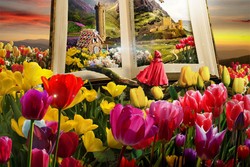 Wow! Tulip Bisa Mekar di Singapura