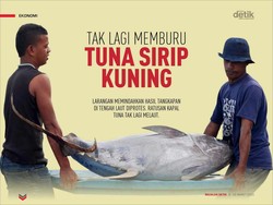 Tak Lagi Memburu Tuna Sirip Kuning