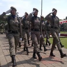 Defile Satpoltik Diacungi Jempol Gubernur Soekarwo