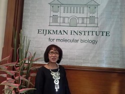 Herawati Sudoyo, Menguak Jasad Teroris hingga Nenek Moyang Orang Madagaskar