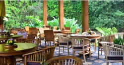 Makan Santai Sambil Menikmati Alam? Ini Tempat yang Cocok