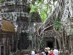 Wisata Purbakala Ala Indiana Jones & Lara Croft, Seru!