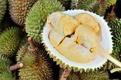 Makan Manggis dan Minum Air, Cara Praktis Cegah Mabuk Durian (2)