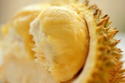 Bokor, Lai dan Gundul, Durian Eksotik Khas Indonesia (2)