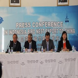 Sarang Burung Walet Indonesia Kembali Merambah Pasar China