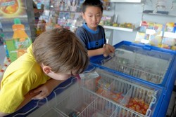 Agar Freezer Tetap Dingin dan Berfungsi Maksimal, Perhatikan Hal Penting Ini (2)