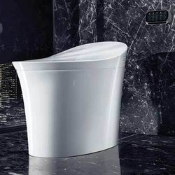 Toilet Tampil Apik dengan Teknologi