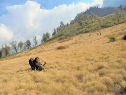 Gunung Argopuro, Surga Savana di Timur Jawa