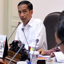 Menyangkut US$ 42,5 Miliar, Jokowi Ingin Nasib Kontrak Freeport dan Total E&P Ditentukan