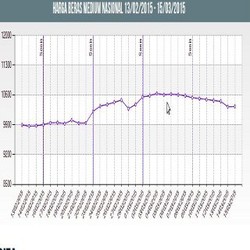 Harga Rata-rata Beras Nasional Masih Tinggi Dibanding Bulan Lalu