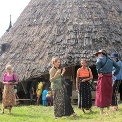 Jokowi Bebaskan Visa Turis 30 Negara Demi Raup Dolar, Efektifkah?