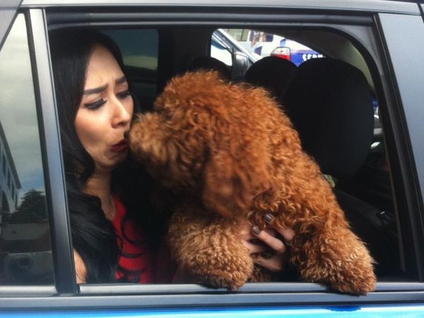 Aura Kasih Dicium Brownie