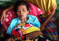 Melihat dari Dekat Rumah Nenek Pencuri Kayu di Situbondo