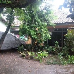 Putri Diduga Gabung ISIS, Begini Kondisi Sang Ayah setelah Coba Bunuh Diri