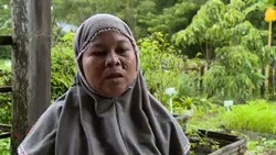 Kegigihan Sitti Rahmah Pelopori Pertanian Organik