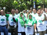 Penanaman Mangrove di Pantai Indah Kapuk