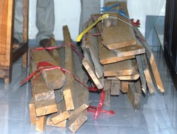 Inilah Wujud Kayu Jati yang Menyeret Nenek Asyani ke Sel Tahanan