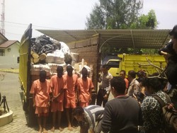 Seolah-olah Bermuatan Kayu Bakar, Ternyata 2 Truk ini Angkut 4,8 Ton Ganja