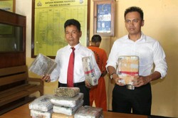 Diteriaki Maling, Polisi Sempat Dihadang Warga saat Bekuk Pengedar Ganja