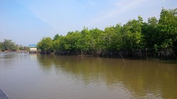 9 Provinsi Belum Akur dengan Pemerintah Pusat Soal Peta Hutan