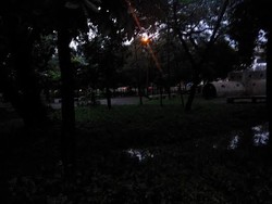 Pantas Saja Jadi Tempat Mesum, Taman Hutan Kota Bekasi Tak Ada Penerangan