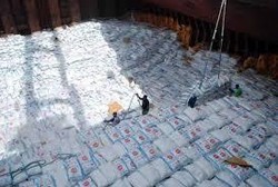 Ini yang Bikin Petani Resah Soal Kabar Ada Impor Gula 1,6 juta Ton