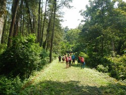 Akhir Pekan Beda, Mendaki Gunung Arjuno Via Jalur Tretes