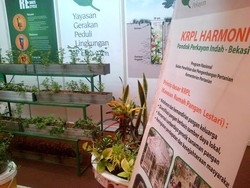 Warga Bekasi Ini Kompak Ubah Halaman Jadi Lahan Pertanian