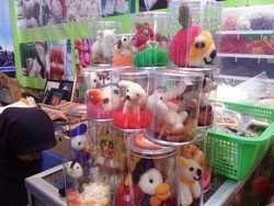 Mantan PNS Ini Sulap Bulu Domba Jadi Hiasan Cantik