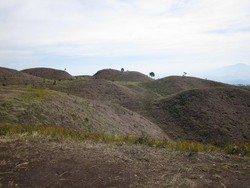 Ketika Kemarau Menyapa Bukit Teletubbies di Gunung Prau
