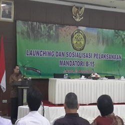 Jokowi Wajibkan Campuran BBN 15%, Harga Solar Naik Rp 675/Liter