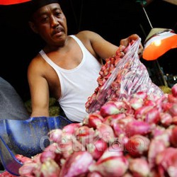 Harga Bawang Merah Melonjak 36%, Kementan Pastikan Tak Buka Opsi Impor