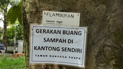 Duh! Pohon-pohon di Taman Pustaka Dipaku untuk Poster Kampanye Lingkungan
