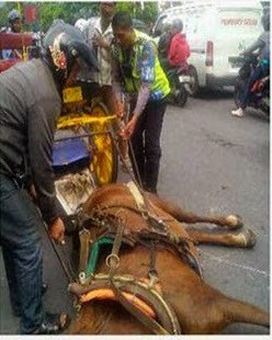 Antara Kusir yang Butuh Kerja dan Kuda Bunting yang Dipaksa Bekerja