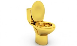 4 Fakta Tambang Emas dalam Tinja Manusia