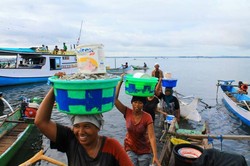 Seperti Inilah Para Wanita Perkasa di Lombok