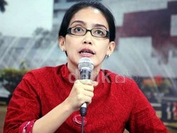 Rieke Diah Pitaloka Urus Sendiri Perceraiannya