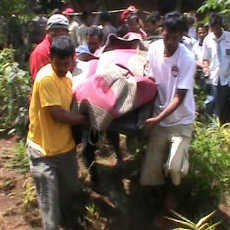 Istri Anggota Dewan Ditemukan Tewas Gantung Diri