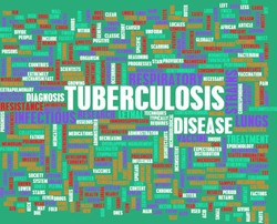 Wapres Targetkan Indonesia Bebas TB 2025, Kemenkes: Kita Sudah on The Track