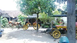 10 Tahun Jadi Kusir Andong Tak Tahu Cara Pasang Tapal Kuda yang Benar