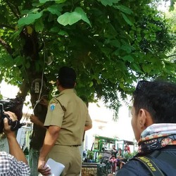 Banyak Saluran Listrik Ilegal, Kecamatan Johar Baru Akan Tertibkan Rutin